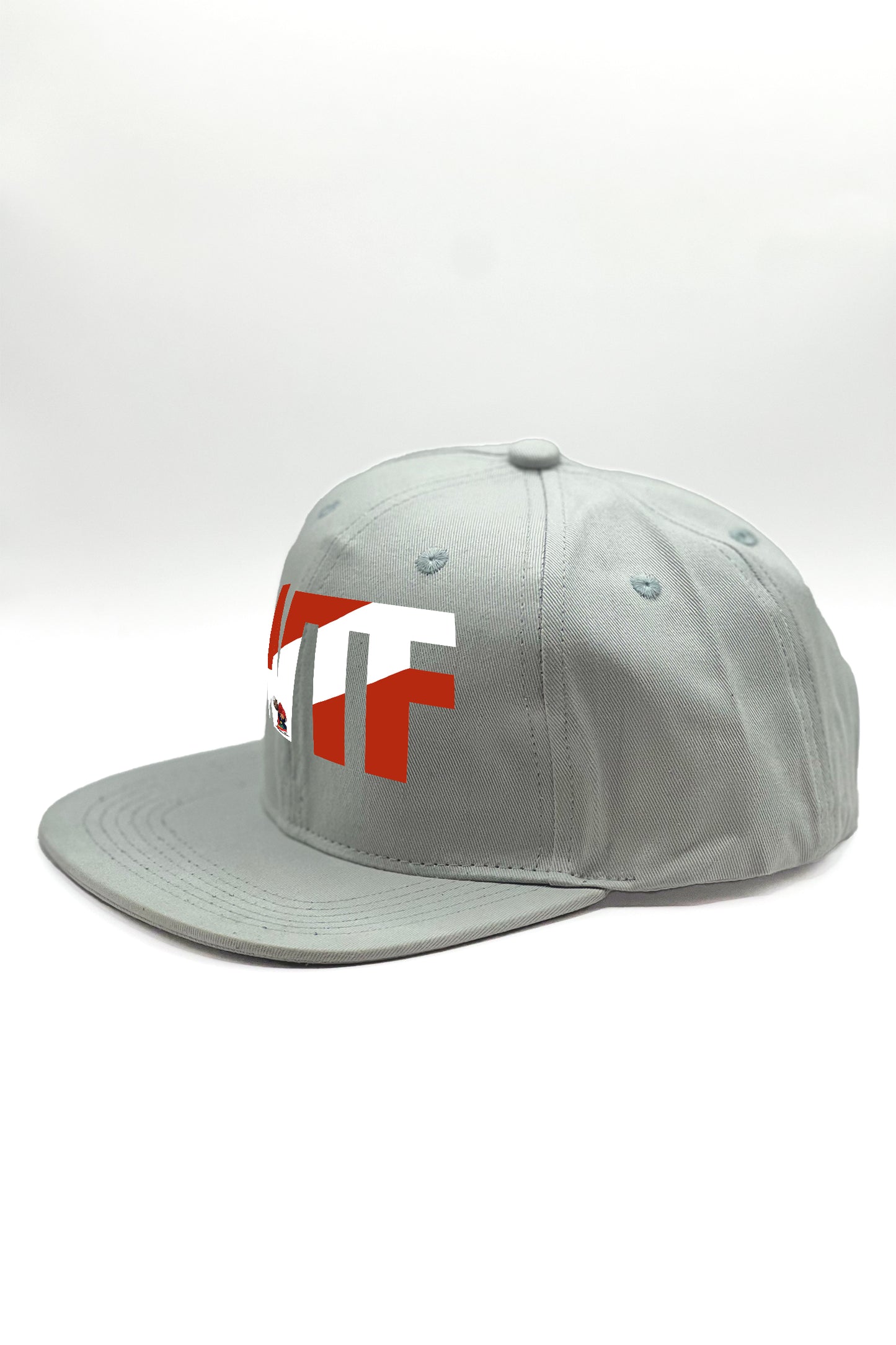 WTF Cap (Grey)